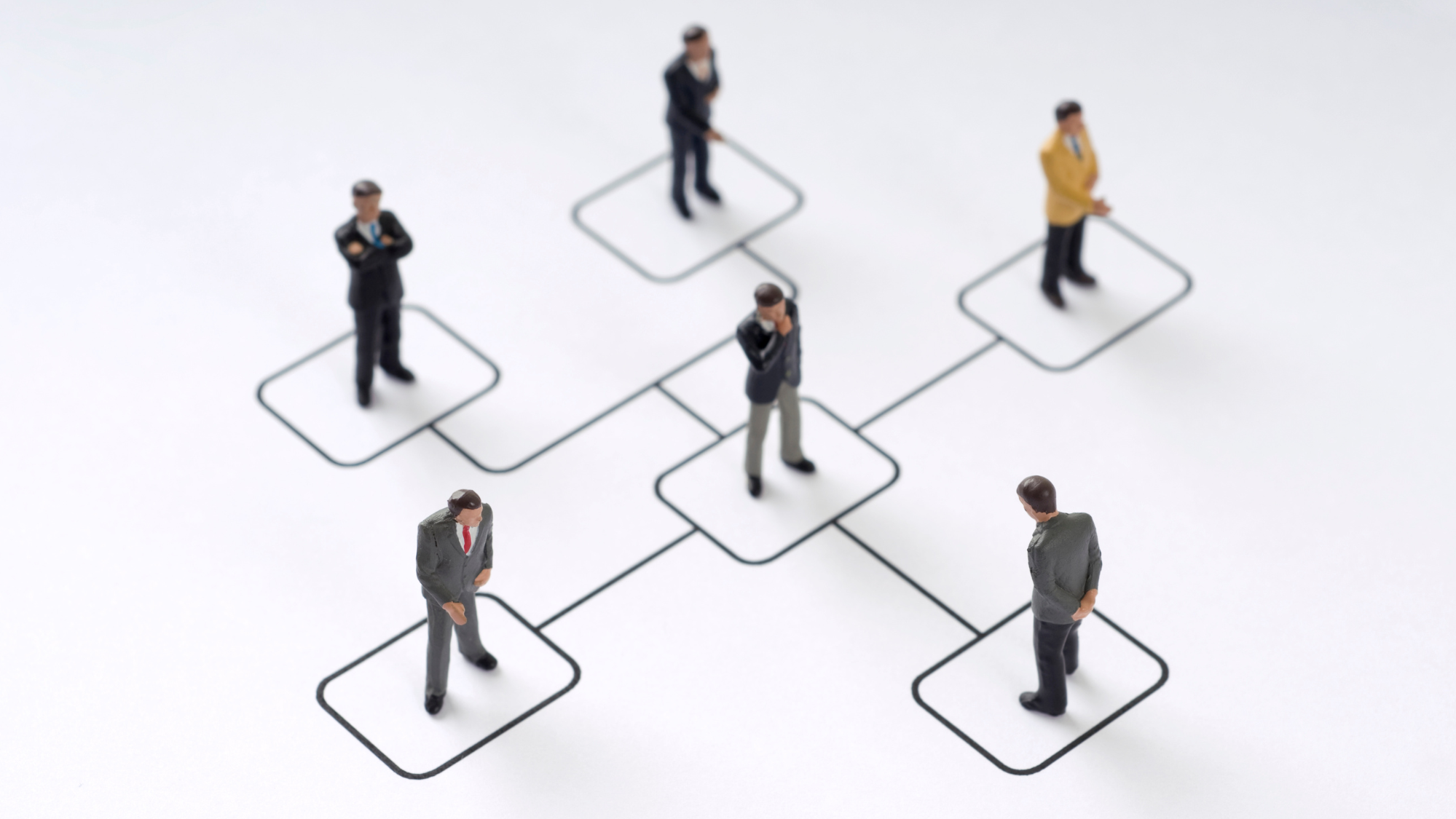 組織マネジメントを行う際の注意点、成功させるポイント